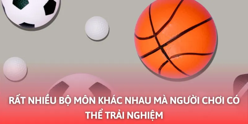 Rất Nhiều Bộ Môn Khác Nhau Mà Người Chơi Có Thể Trải Nghiệm