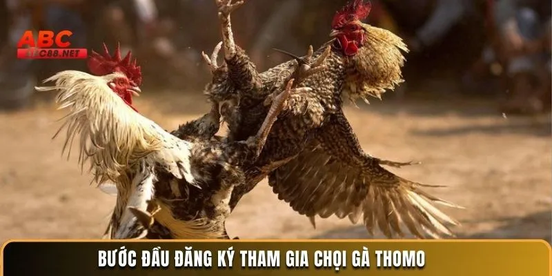 Bước Đầu Đăng Ký Tham Gia Chọi Gà Thomo 