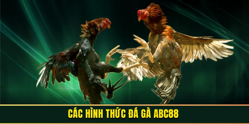 Các Hình Thức Đá Gà ABC88 Đang Tạo Nên Cơn Sốt