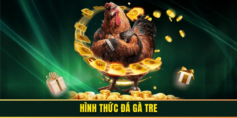 Hình Thức Đá Gà Tre