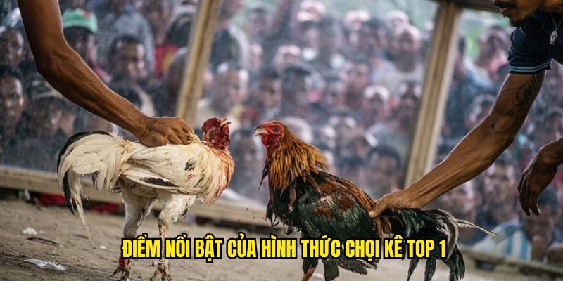 Điểm nổi bật của hình thức chọi kê top 1