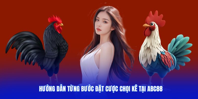 Hướng dẫn từng bước đặt cược chọi kê tại ABC88