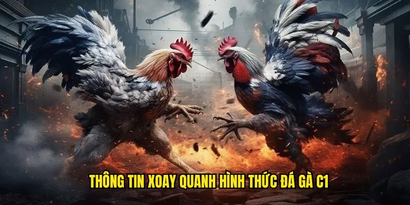 Thông tin xoay quanh hình thức đá gà C1