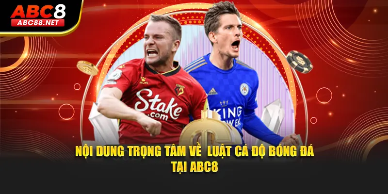 Nội dung trọng tâm về  luật cá độ bóng đá tại ABC8