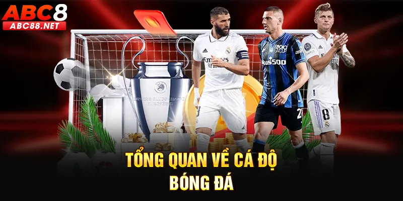 Tổng quan về cá độ bóng đá