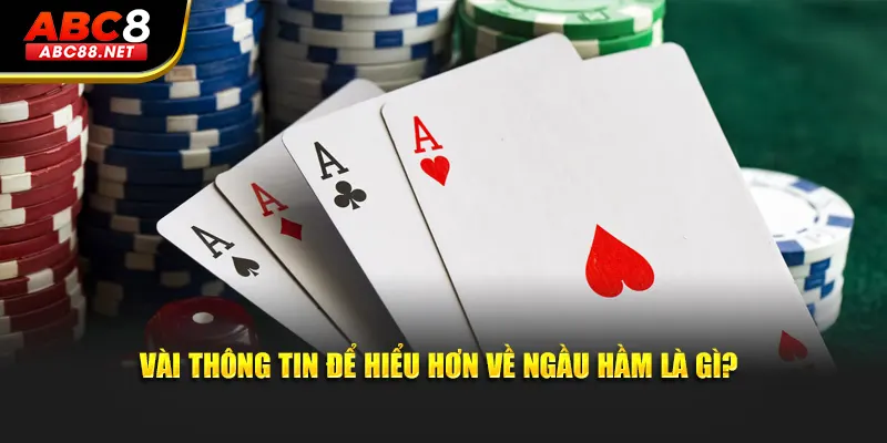 Vài thông tin để hiểu hơn về Ngầu Hầm là gì?